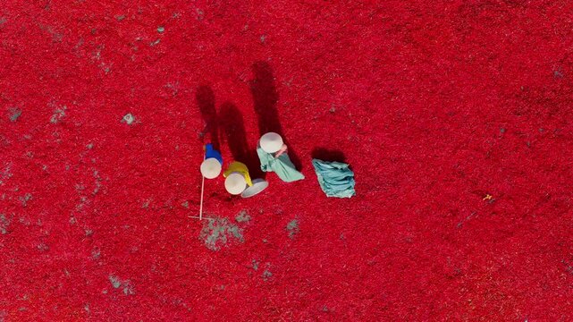 Aerial view of a worker with a conical hat sorting red chilies drying in De Gi, Binh Dinh, Vietnam