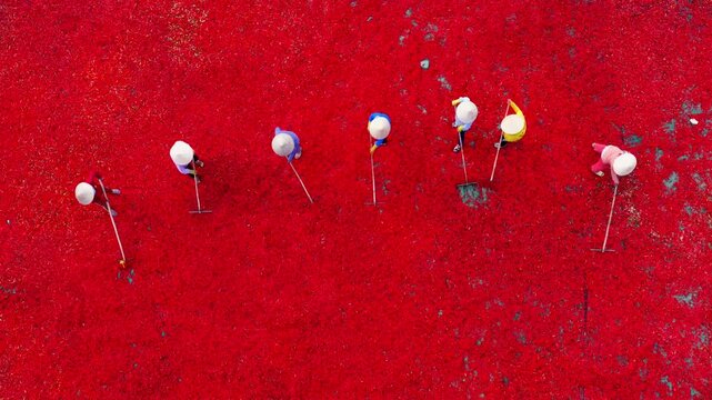 Aerial view of a worker with a conical hat sorting red chilies drying in De Gi, Binh Dinh, Vietnam