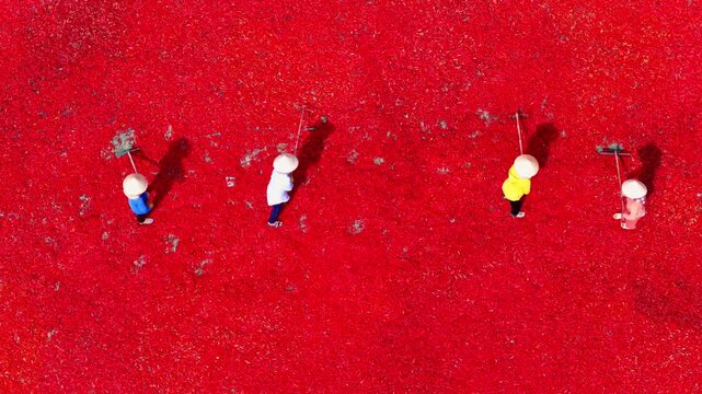 Aerial view of a worker with a conical hat sorting red chilies drying in De Gi, Binh Dinh, Vietnam