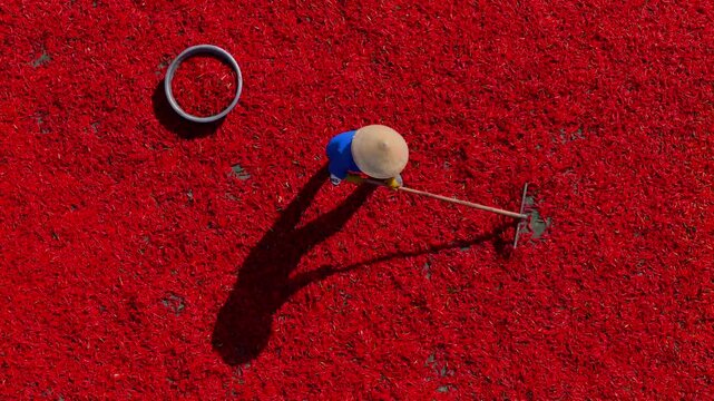 Aerial view of a worker with a conical hat sorting red chilies drying in De Gi, Binh Dinh, Vietnam