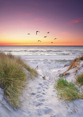 Fototapeta premium Sandy Path Through Coastal Dunes to the Baltic Sea at Sunrise