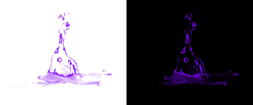 Purple liquid splash on white and black backgrounds, dynamic water droplet crown, abstract fluid splash graphic