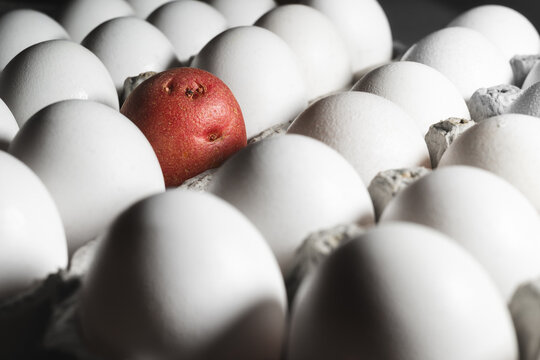 Red Potato Standing Out Among White Eggs in Carton