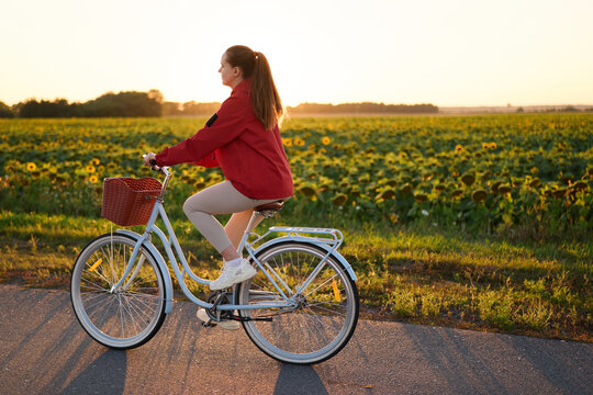 A person rides a bicycle on a road next to a field filled with sunflowers as the sun sets in the background, creating a warm glow