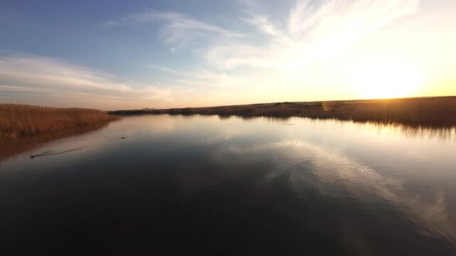 Calm river bordered by tall reeds under a bright sky