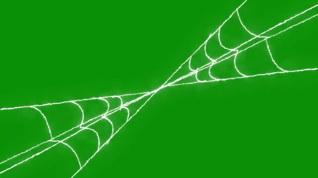 Spider web effect, animated white cobweb structure, flexible silk thread expansion, eerie halloween atmosphere overlay, transparent style element, 4k loop, green background video