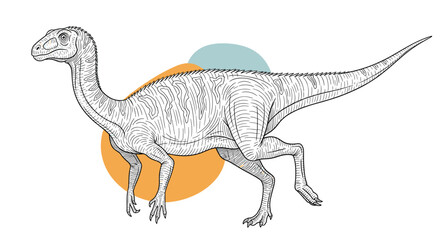 Fototapeta premium Detailed line drawing of a theropod dinosaur in motion is overlaid on abstract orange and blue circles for a contemporary graphic look.