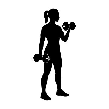 Silhouette of a fit woman performing bicep curls with dumbbells isolated on a white background for fitness