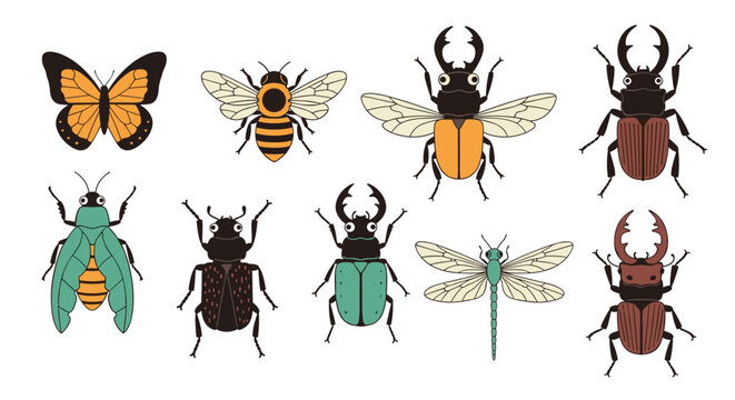 Colorful collection of various insects including detailed beetles, a butterfly, a bee, and a dragonfly for nature and biology education.