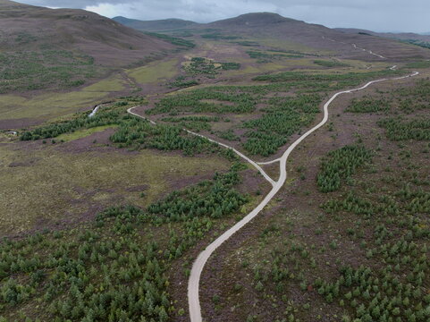 Aerial view of Glen Tromie featuring blooming purple heather, winding forestry tracks, and scattered pine trees in Kingussie, Scotland, United Kingdom.