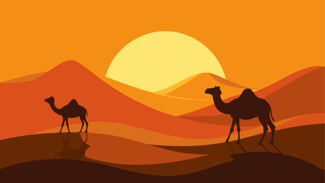 Two camels walking in the desert sunset