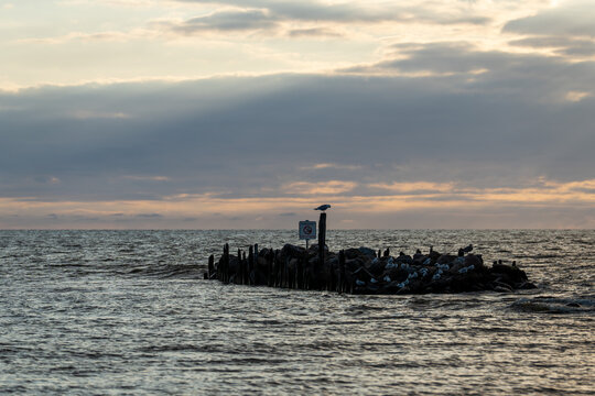 Seagulls resting on a rocky breakwater in the Baltic Sea beneath a dramatic cloudy evening sky.
