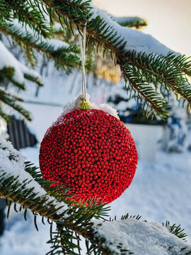 A natural Christmas tree is decorated with a red ornament hanging on its branches. Snow covers the ground and surrounding area, creating a winter scene