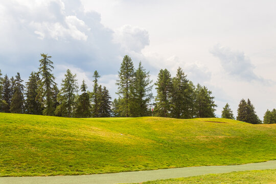 Scenic golf course fairway with a row of tall pine trees under a cloudy summer sky in Crans Montana, Switzerland