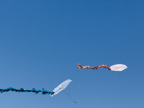 Traditional Kites Soaring in Blue Sky and Minimalist View