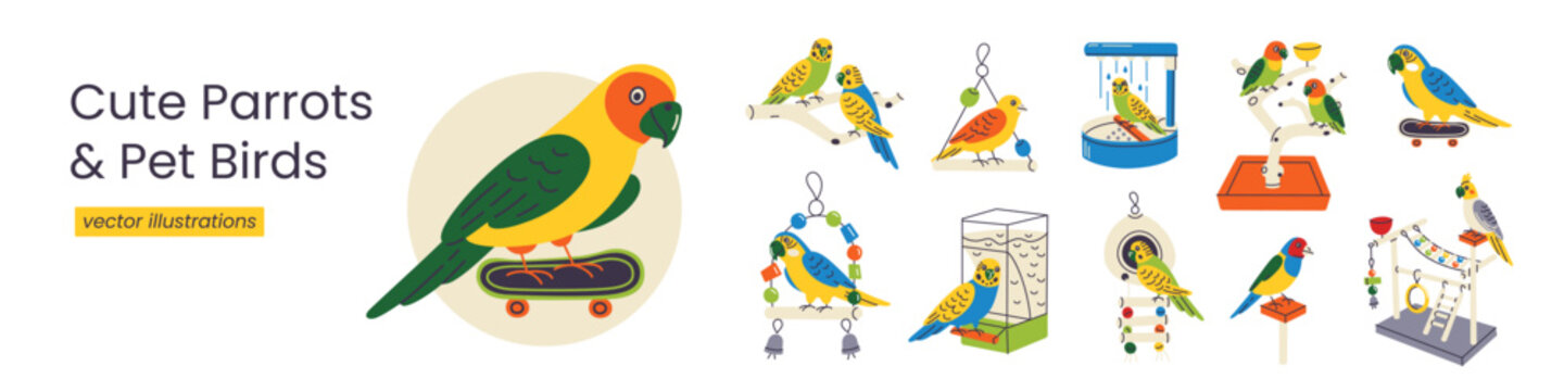 Cute pet parrots set, flat cartoon budgerigars and cockatiels with cage accessories, swings, toys and feeders. Vector illustration for exotic bird care and aviary lifestyle concept