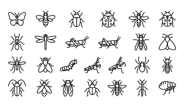 Simple Insect Line Icons Set, Bug and Insect Outline Vector Symbols Collection