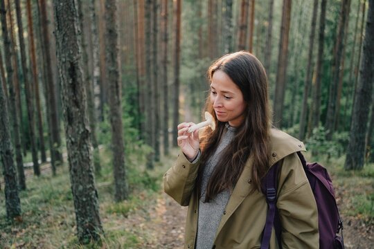 Young woman examining a wild mushroom while hiking with a backpack in a pine forest