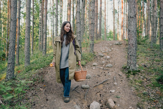 Young woman gathering wild mushrooms with a wicker basket while walking on a forest trail