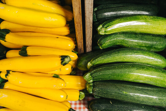 Yellow and Green Zucchini