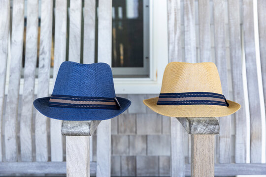 Two summer fashion hats 