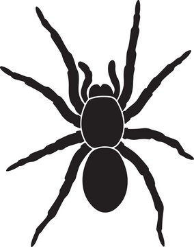Black silhouette of a spider