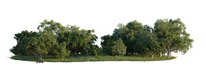 Naklejka premium Corymbia ficifolia, Eucalyptus globulus and Ficus lyrat tree line, Forest Edge, Backdrop cutout, isolate transparent background