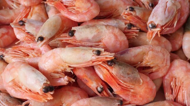 Close up of  shrimps on plate
