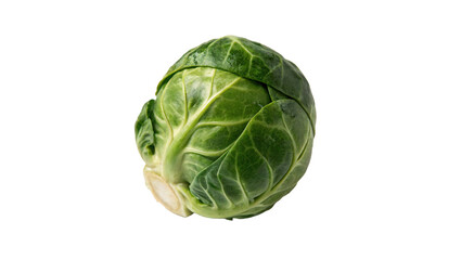 Fototapeta premium Whole fresh green brussels sprout vegetable isolated on transparent background
