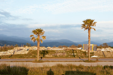 Fototapeta premium Desert landscape with two palm trees beside a road, distant mountains and a clear sky, rugged terrain bathed in warm light, suitable for lifestyle outdoor imagery featuring travel