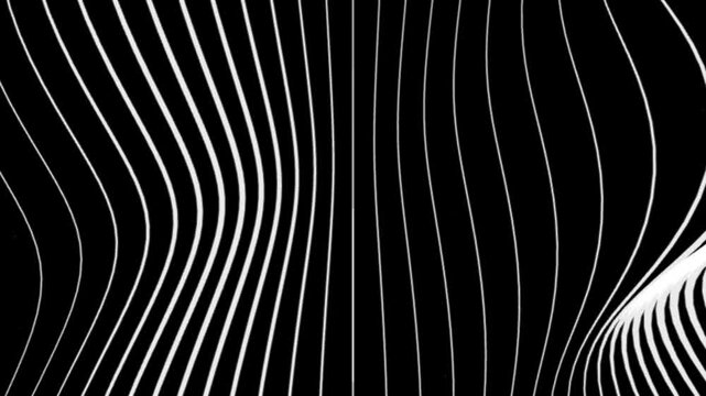 Abstract Black and White Wavy Lines Flowing Motion Background
