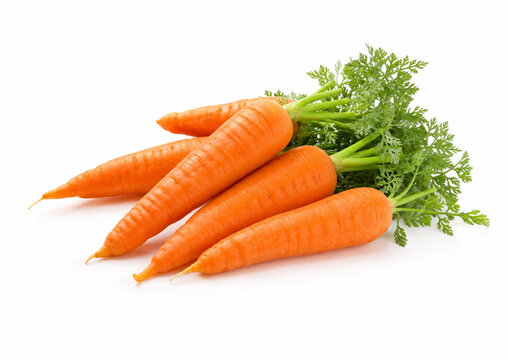 bunch of carrots