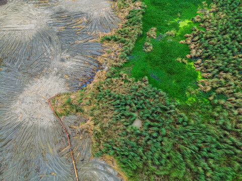 Aerial view of a landscape showing a contrast between a muddy area with tire tracks and lush green wetlands, with a pipe running through the terrain in Dhaka, Dhaka Division, Bangladesh.