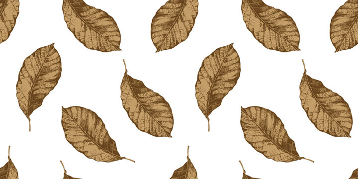 Seamless pattern with tobacco leaves on white background. Realistic sketch of leaves.