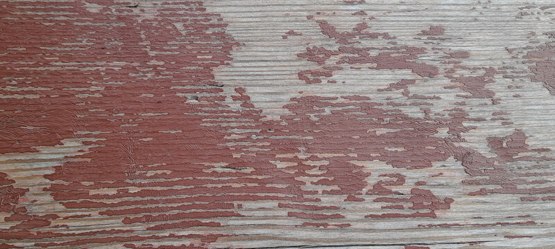 Macro shot of distressed red paint peeling off an old wooden surface revealing light wood underneath. 