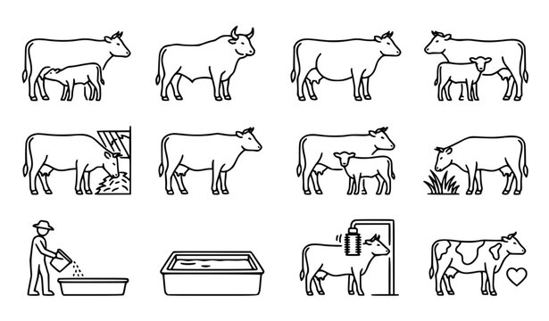 Dairy Farm and Cow Breeding Line Icon Set with Cattle, Calves, Milking Equipment, Feeding Troughs, and Livestock Management Graphic Design Elements
