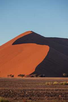vertical Namib Desert dune landscape under clear sky