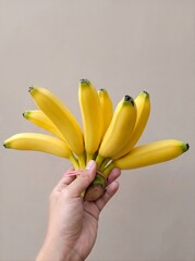 Hand holding a bunch of fresh ripe yellow bananas against plain background  © Muhammad