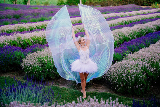 A ballerina dances gracefully with iridescent wings