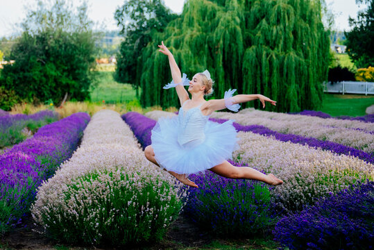 A ballet white dancer leaps gracefully over lavender rows