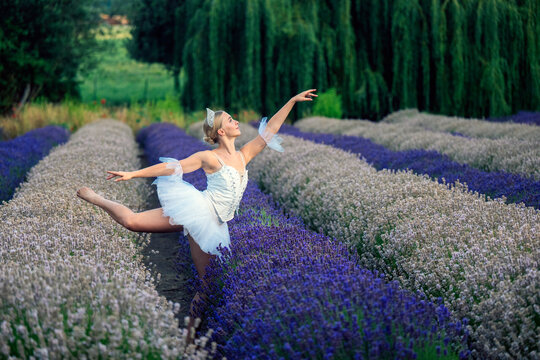 A white dancer gracefully dances in a lavender field in WA, USA
