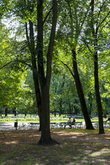 Obraz premium Saxon Gardens in Warsaw, Poland