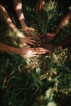 Diverse hands gather on grass, showcasing unity and connection. Sunlight illuminates fingers intertwined amid green foliage. Nature serves as calm backdrop for collaboration