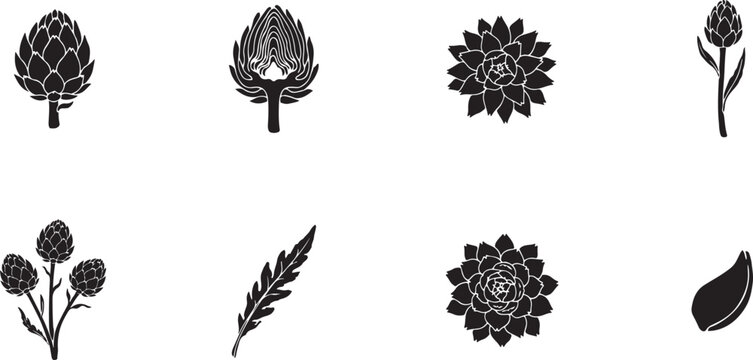 Artichoke Vegetable Silhouette Collection, Hand Drawn Black Botanical Vector Illustration. Silhouette Icon Illustration