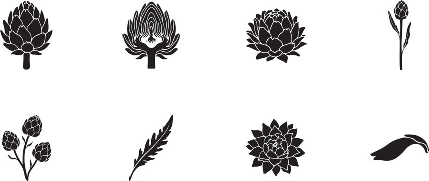 Artichoke Vegetable Silhouette Collection, Hand Drawn Black Botanical Vector Illustration. Silhouette Icon Illustration