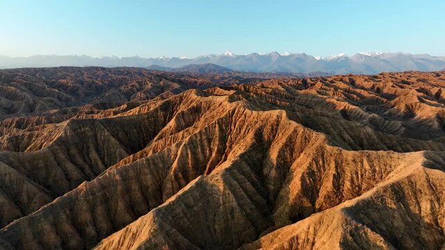 Aerial view of the rugged, sunlit ridges of the Ak Say canyon landscape with distant snow-capped peaks in Ak Say, Issyk-Kul Region, Kyrgyzstan.