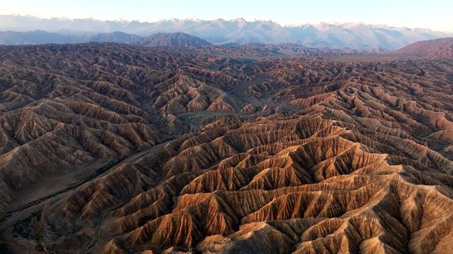 Aerial view of the rugged Ak Say canyon with deep ridges and golden hour light, with snow-capped mountains in the background in Ak Say, Issyk-Kul Region, Kyrgyzstan.
