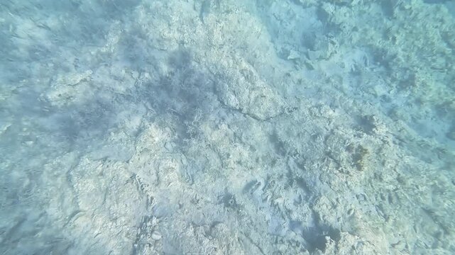 First person view moving over a rocky seabed in clear turquoise water with sun rays