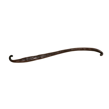 Brown single vanilla bean stick with curled ends isolated on transparent background PNG element