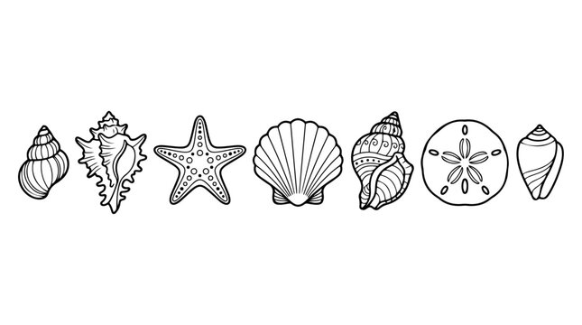 Seashells and Starfish Line Art Vector Set for Beach Design